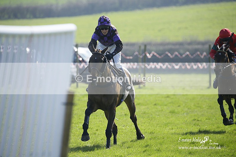PtP 190322 298 - Wilton Hunt PtP Milborne St Andrew 19/03/22