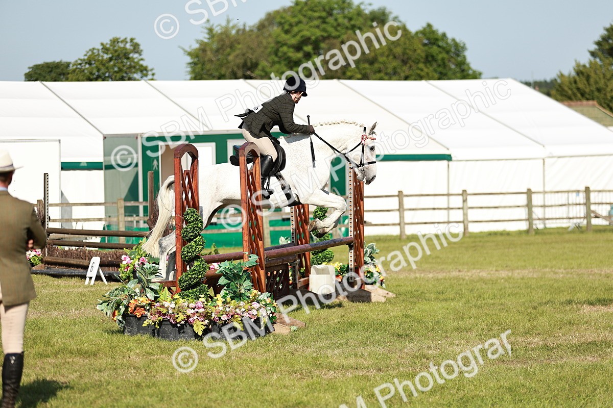 SBM_19203 - Class 115-116 - LIHS BSHA Rising Star Working Hunter & Show Horse