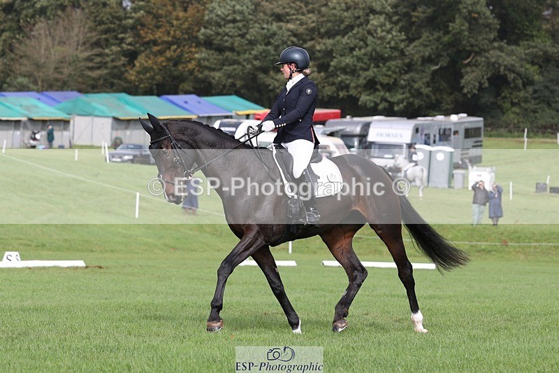 231019-123500-03692 - 632-ANGELL'S.CHOICE-Saffron.Cresswell-DR