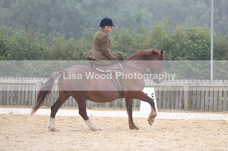 3E7A6872 - Class 5: Prelim to Music