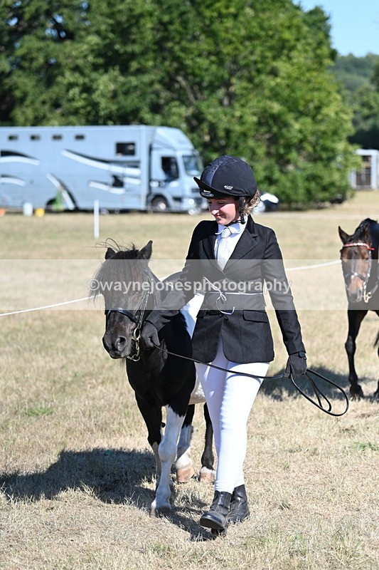 WJ7_1851 - Class 43 Best Six Legs (In hand)