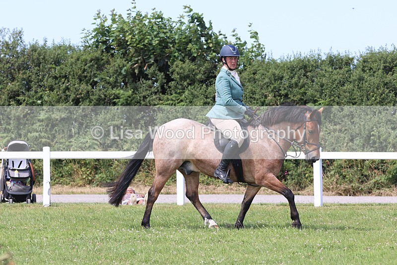 JPP_3232 - Class 22: Working Hunter 70cm