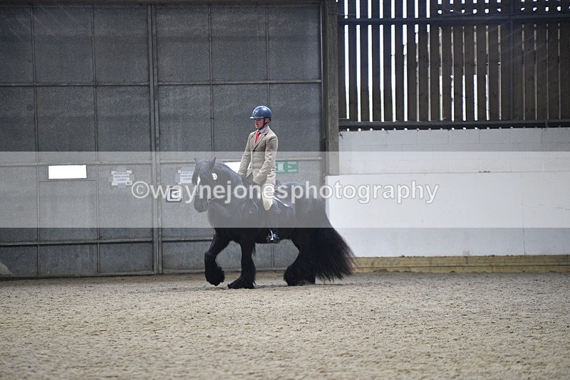 WJ5_8638 - Class 14 Novice Ridden/Rider
