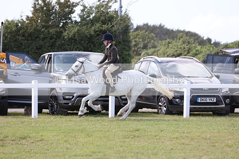 JPP_2336 - Class 19: Working Hunter 60cm