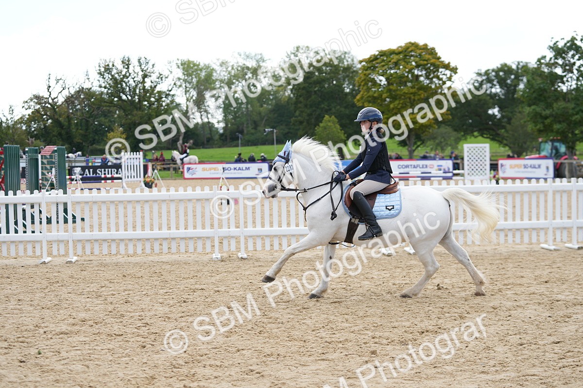 SBM_21375 - J49 - Open 50cm