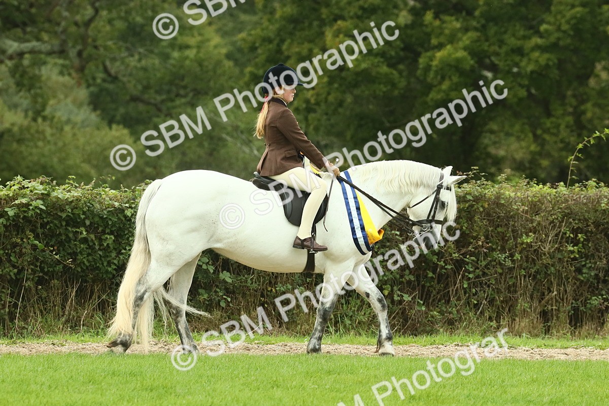 SBM_75134 - Super Supreme Championship