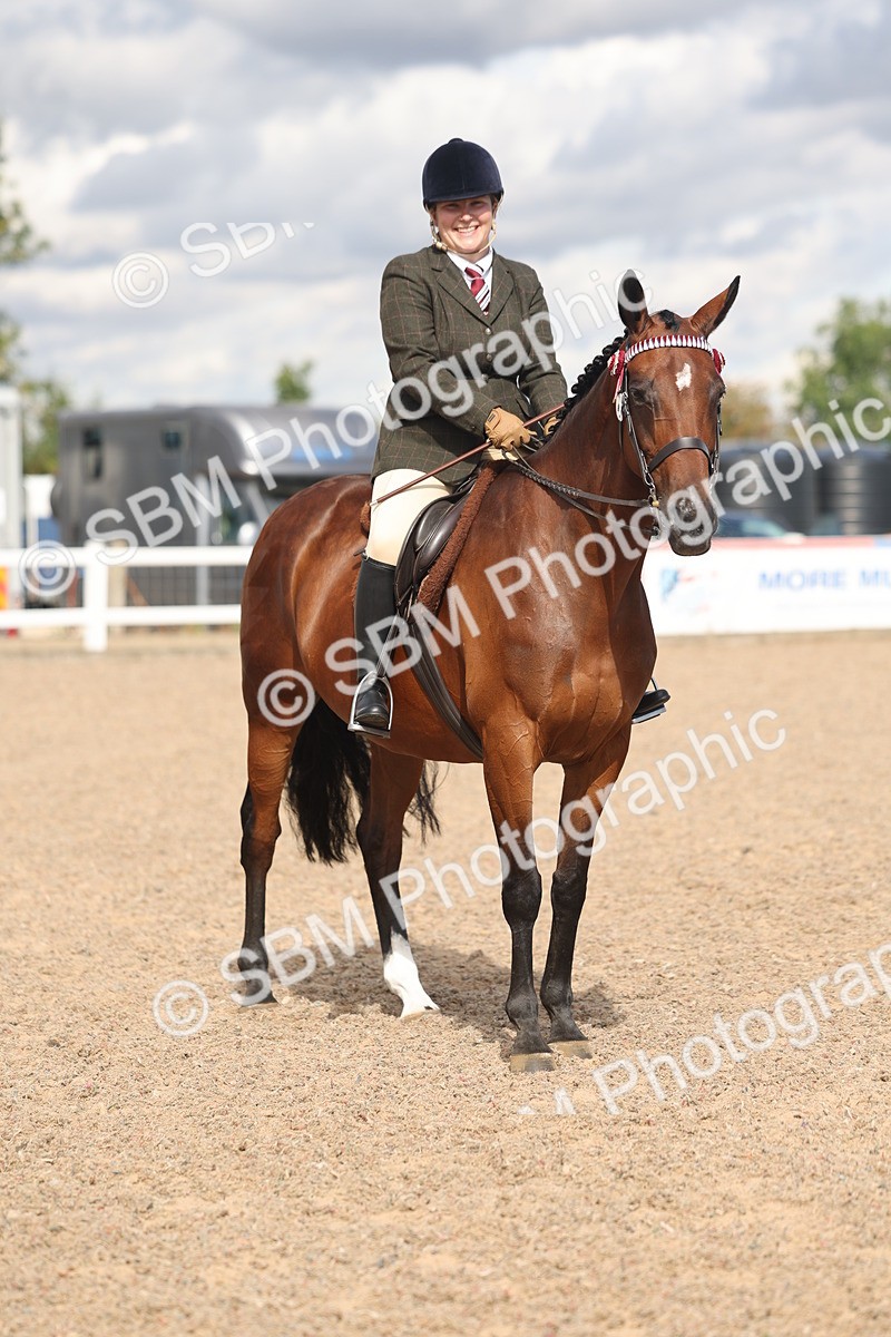 SBM_13191 - Class 306 - Ridden Foreign Breds - Part Bred