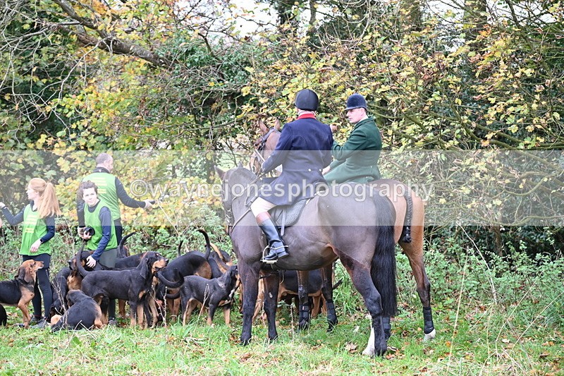 WJ6_8594 - Meet