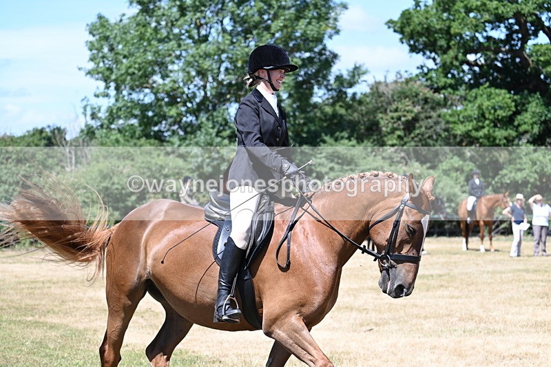 WJ7_2992 - Class 7 Riding Club Show Horse