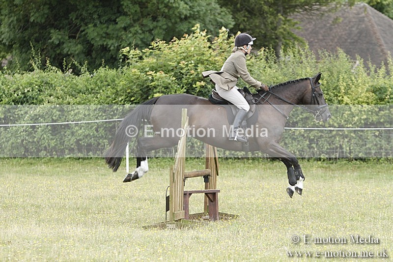 BVR160717-1758 - Ring 3 BVRC Show 16/07/17