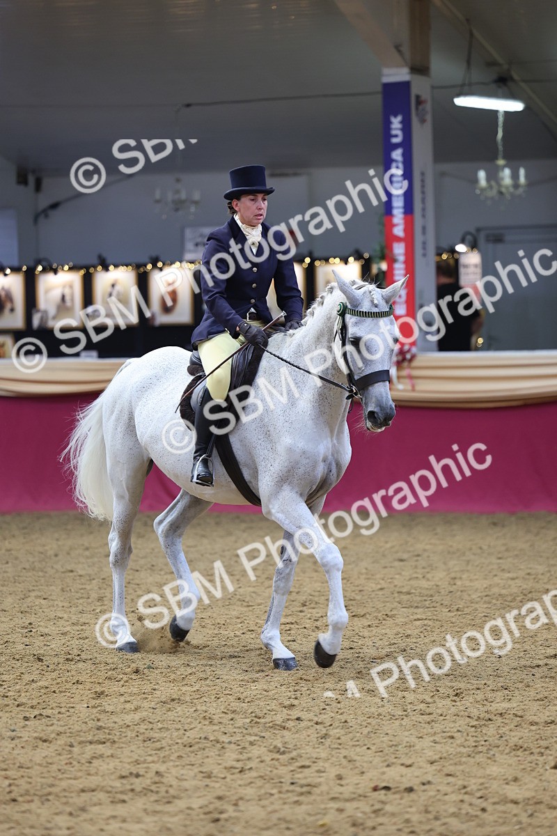 SBM_23959 - Class 905 - Supreme Final - Ridden Veteran