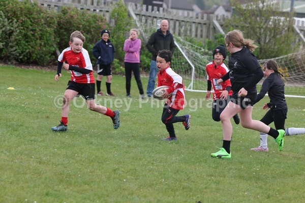 DAD22410 - Rookies/Mini Rugby on 7s Day