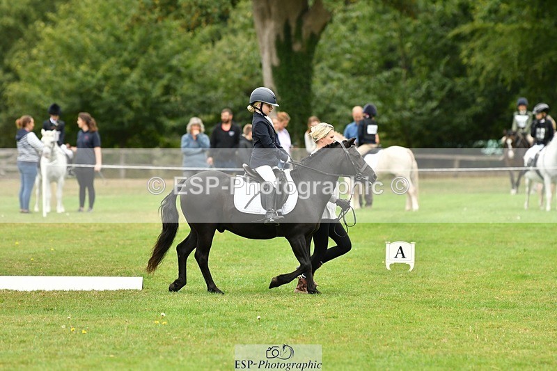 250820A-104949-04766 - Start to 11am