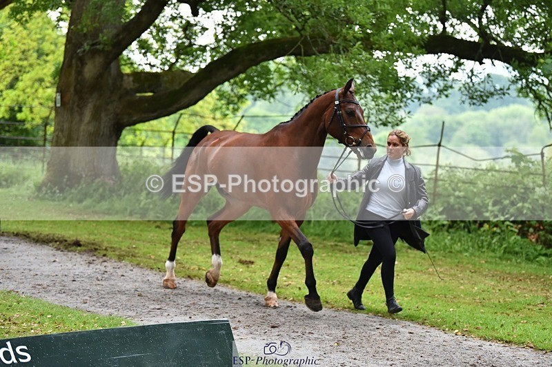 240522-165726-01281 - 229-ROCK_THE_CASPAR-Ali_Wilkes