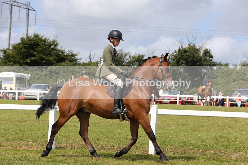 1X9A3972 - Class 32: Show Hunter Pony 153cm and under