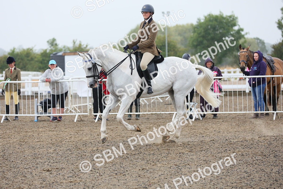 SBM_20022 - Class 802 - Ridden Groom - Helpers class