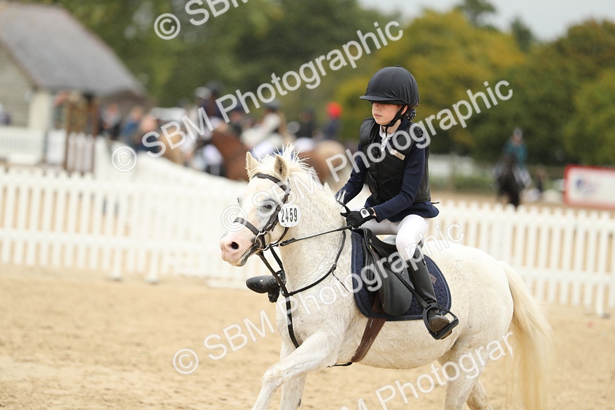 SBM_70272 - J15 - Junior Pony 70cm Championship