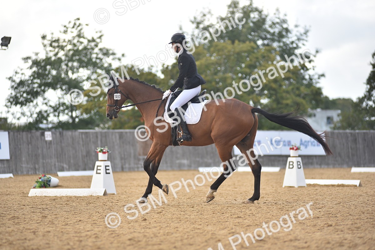 SBM_29754 - D16 -Small Tour Championship Novice 2