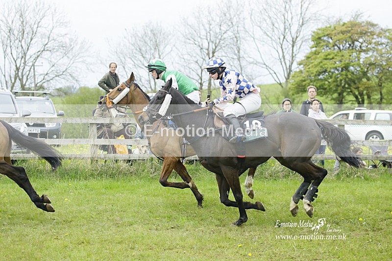 PtP 020522 370 - Mollington Races Point-to-Point 02/05/22