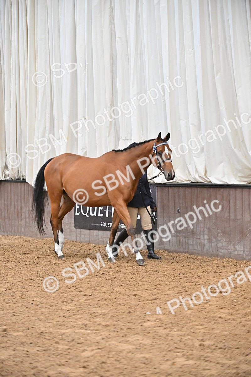 SBM_000194 - Class 7 - ROR Tattersalls In Hand