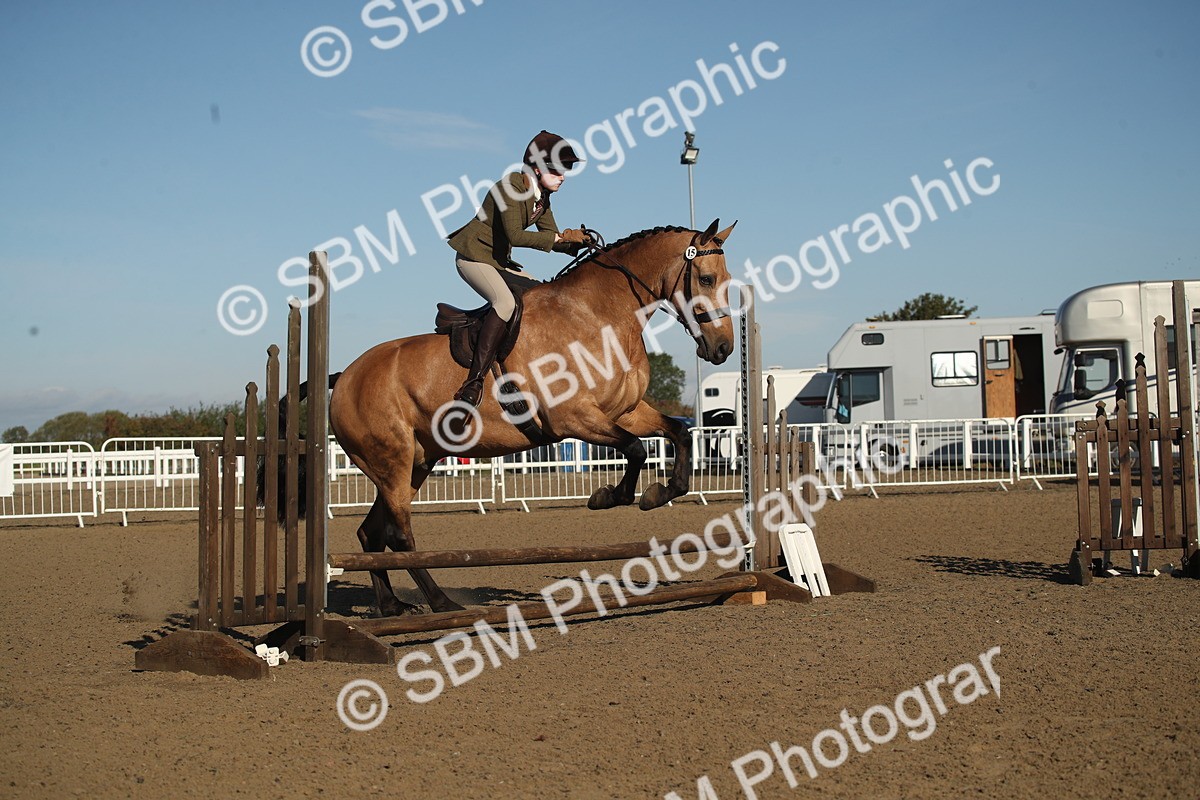 SBM_11336 - Class 501 -Riding Club Pony