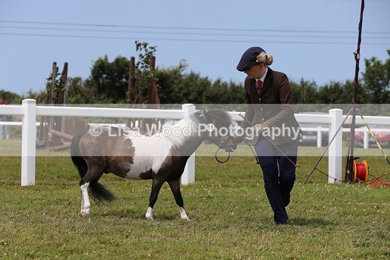 1X9A4784 - Class 35: Veteran In Hand