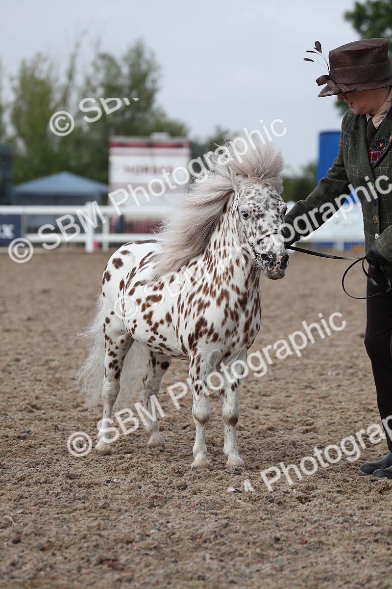 SBM_23157 - Class 605 - 2025 Area - IH Veteran
