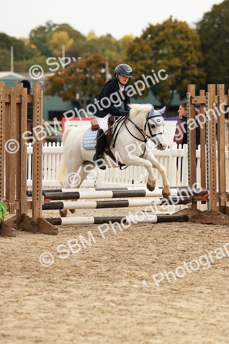 SBM_57770 - J11 - Junior Pony 50cm Championship