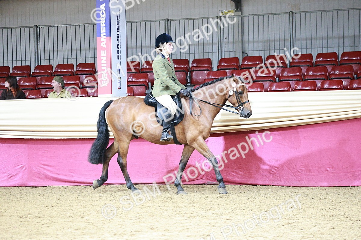 SBM_03102 - Class 5A - Area Ridden Veteran