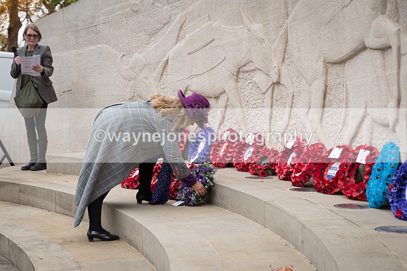 Z62_4649 - Animals In War Memorial 2025 - Park Lane, London