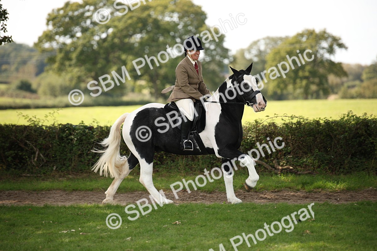SBM_70080 - S65 - Piebald & Skewbald Horse Ridden