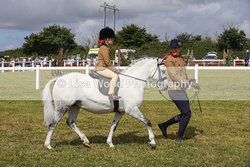 1X9A3659 - Class 29: Lead Rein SP/SHP