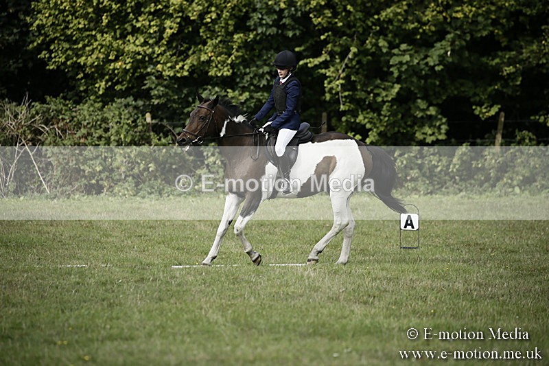 BVR090918 111 - BVRC Dressage and Show Jumping 09/09/18