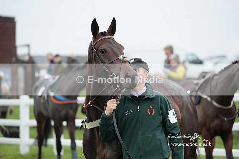 PtP 271122 206 - Hursley Hambledon Hunt Point-to-Point - Larkhill - 27/11/22