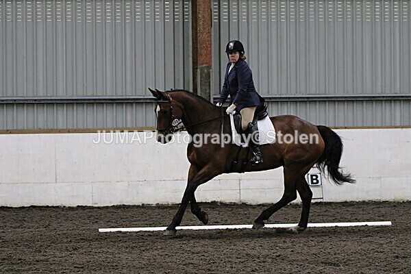 SIAL4460 - CAbin Dressage 5th july 2025