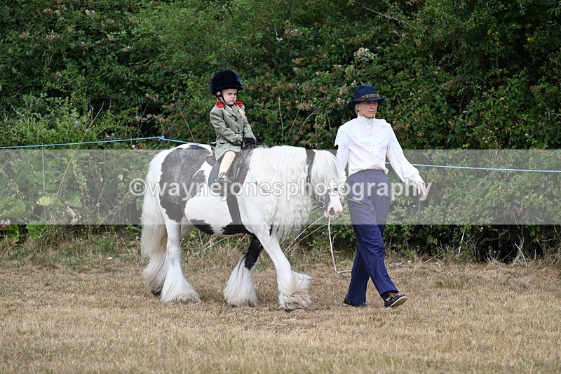 WJ7_6744 - Class 1 Lead Rein Pony
