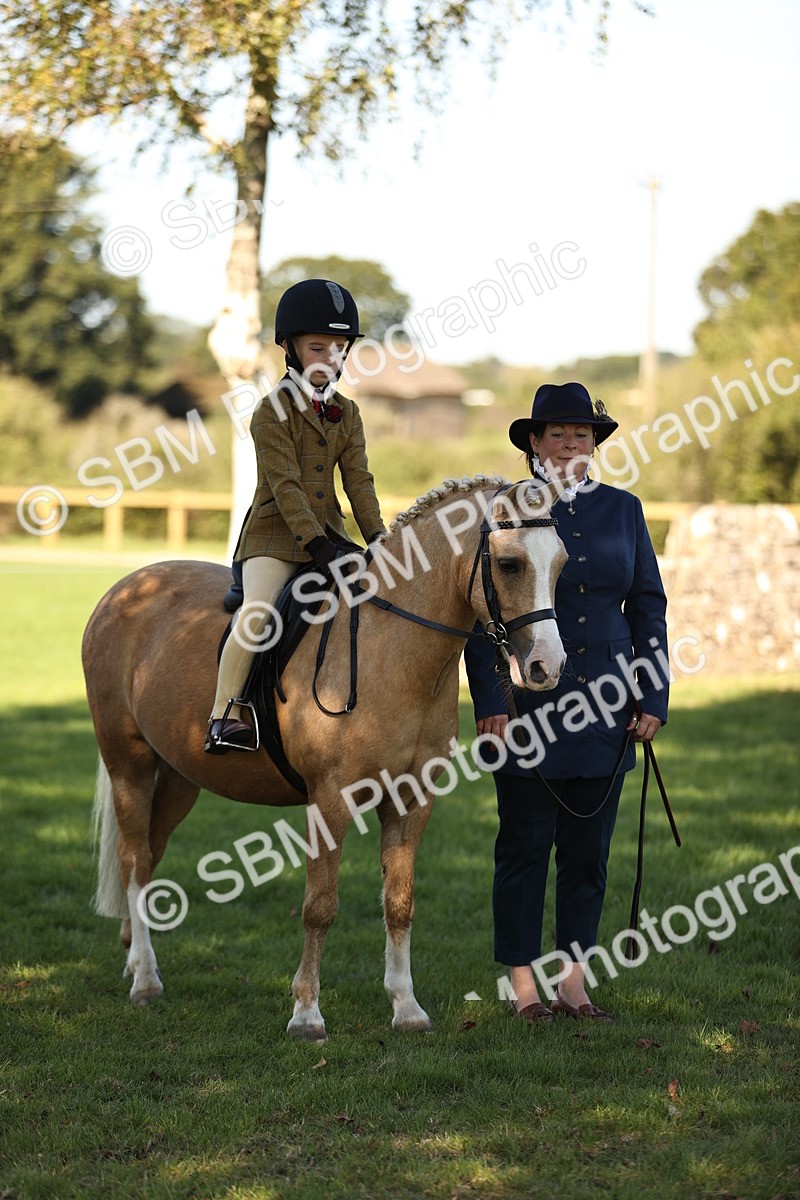 SBM_19240 - S3 - TSR Ridden Pony Showing