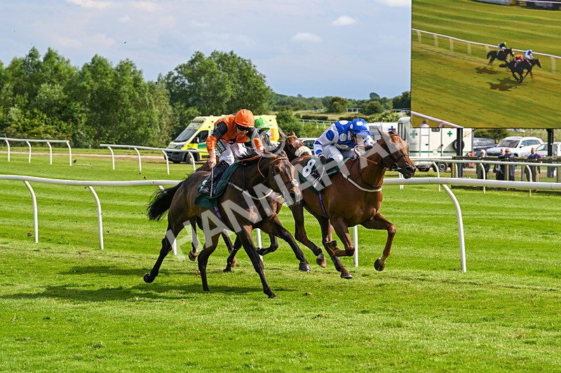 180624-Race 5-Sea The Dream-0575 - Race 5