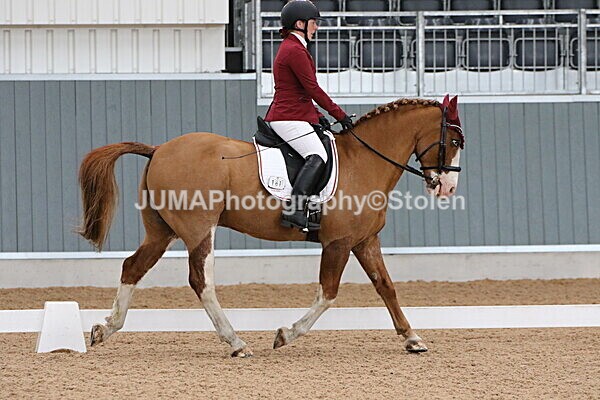 SIAL7248 - GDG Bogenraith Friday 26th Sept 2025