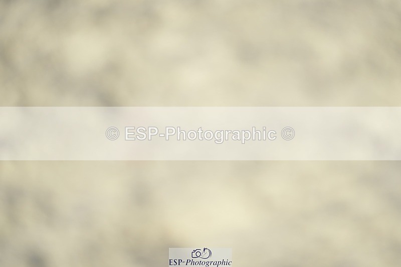 230909-165026-07131 - Cls 19 Club 70cm