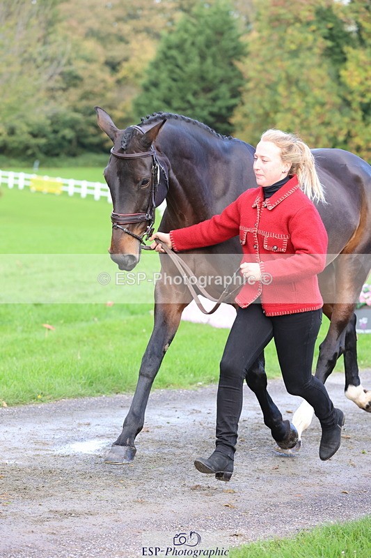 251026A-102520-22975 - E-383-Amy.Harris