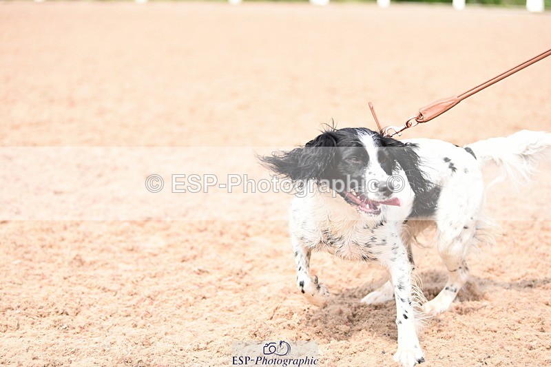 240518A-114910-00833 - Cls 2 Prettist Bitch