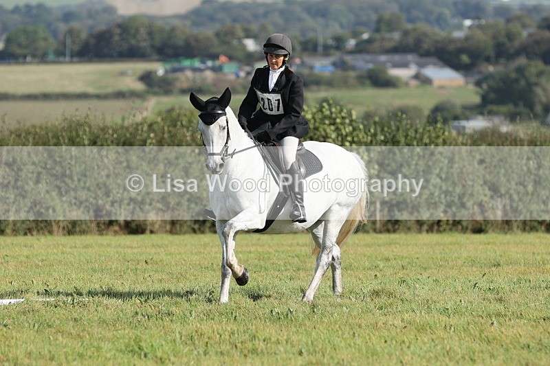 JPP_8085 - Class 2A: Trekenning Open: Dressage