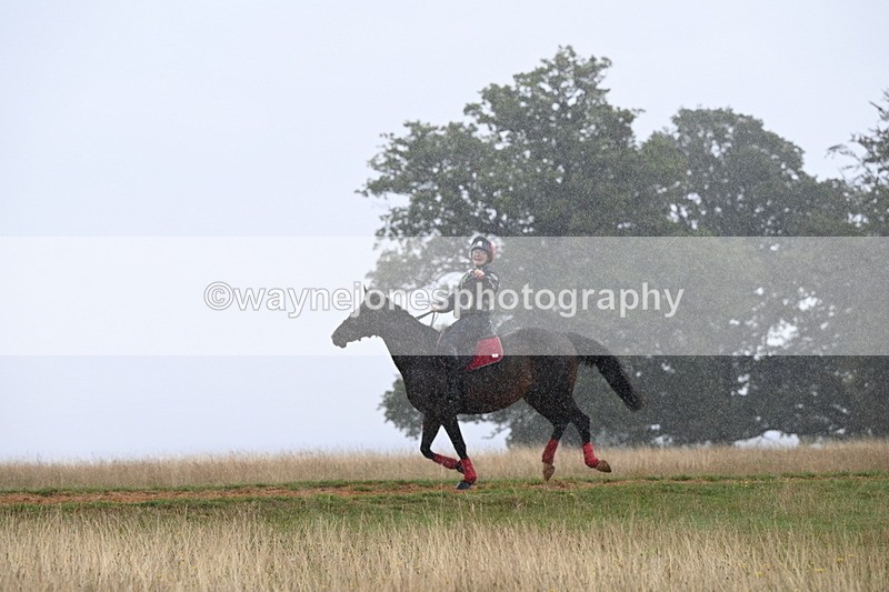 DSC_2816 - Time at Statue 12:59 to 13:49