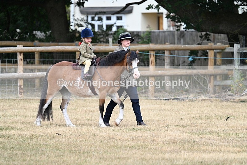 WJ7_9583 - Class 1 Lead Rein Pony