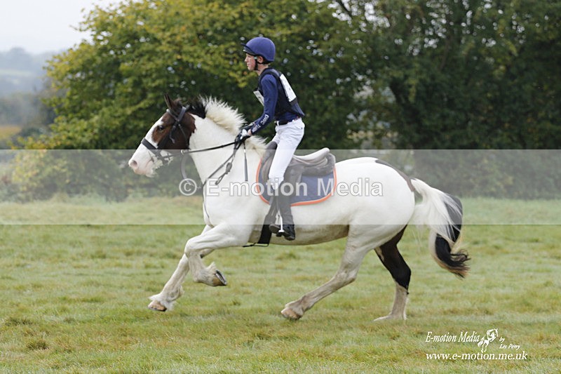 WWHT 171021 0625 - Novice Restricted (0.80m)  17/10/21