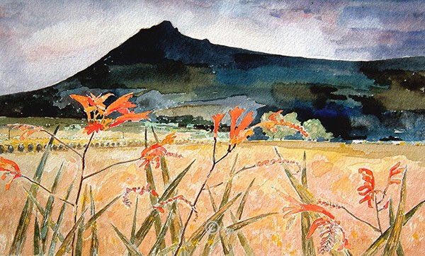  - BENNACHIE Paintings Photographs