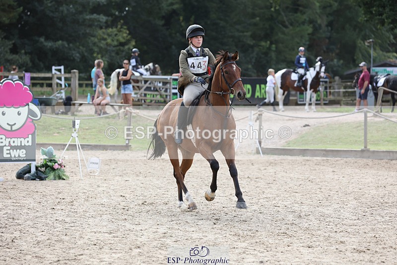 240823X-161448-19607 - 70cm Single Phase All