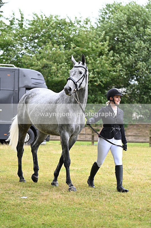 WJ7_6064 - Class 4a Prettiest Mare over 14hh