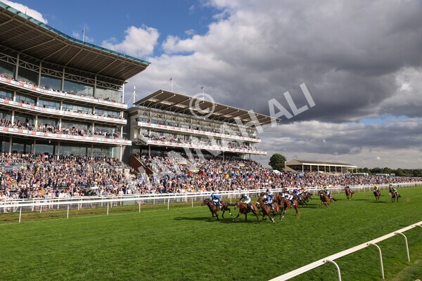 yr19082022r6-25 - Race 6 4.45 pm British Stallion Studs EBF Convivial Maiden Stakes